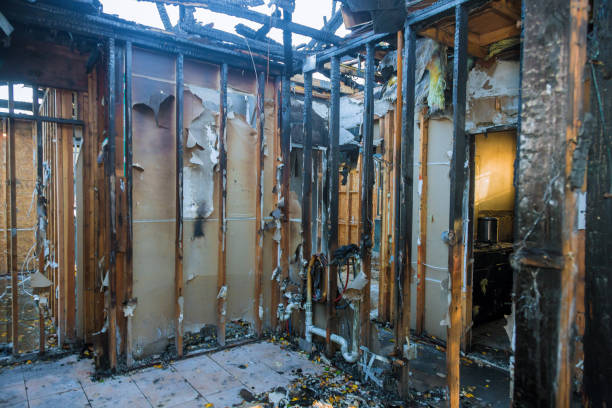 Professional Smoke Damage Removal technician working in Jenison, MI